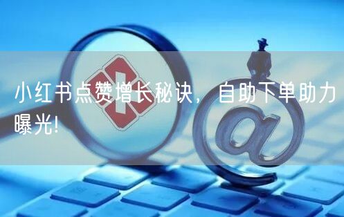 小红书点赞增长秘诀,自助下单助力曝光!