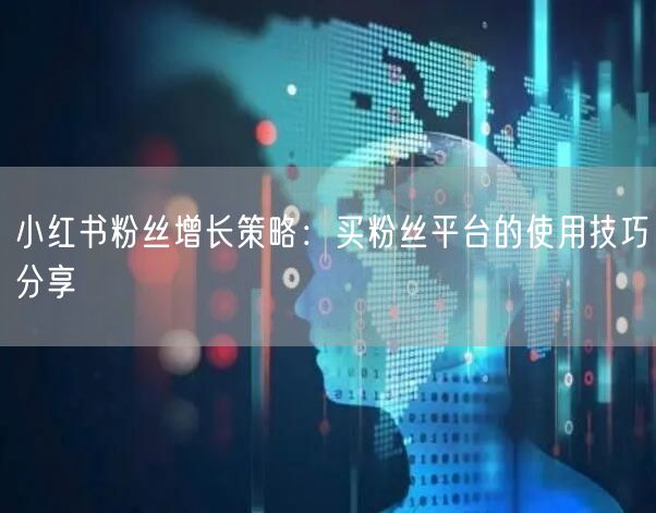 小红书粉丝增长策略：买粉丝平台的使用技巧分享