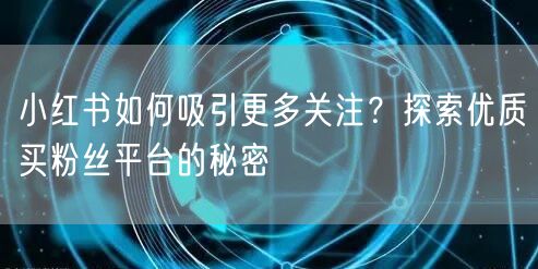 小红书如何吸引更多关注?探索优质买粉丝平台的秘密