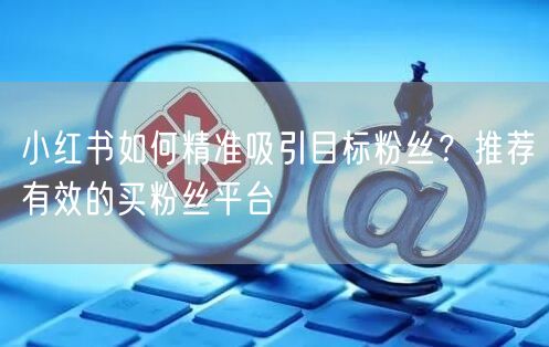 小红书如何精准吸引目标粉丝?推荐有效的买粉丝平台