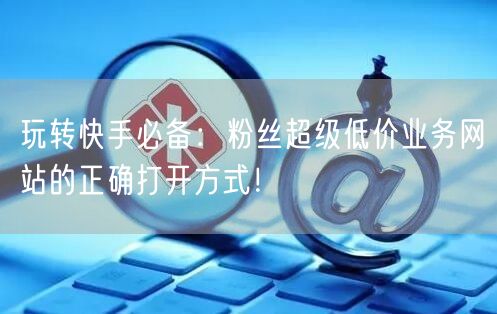 玩转快手必备：粉丝超级低价业务网站的正确打开方式！