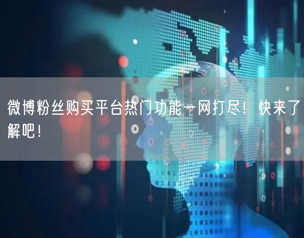 微博粉丝购买平台热门功能一网打尽！快来了解吧！