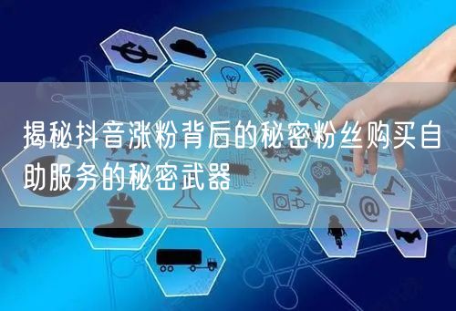 揭秘抖音涨粉背后的秘密粉丝购买自助服务的秘密武器