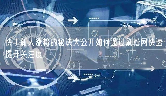 快手新人涨粉的秘诀大公开如何通过刷粉网快速提升关注度