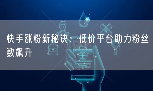 快手涨粉新秘诀：低价平台助力粉丝数飙升