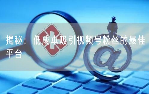 揭秘：低成本吸引视频号粉丝的最佳平台