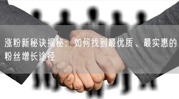 涨粉新秘诀揭秘:如何找到最优质、最实惠的粉丝增长途径