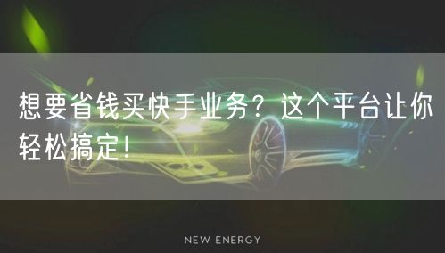 想要省钱买快手业务？这个平台让你轻松搞定！