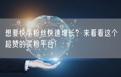 想要快手粉丝快速增长?来看看这个超赞的买粉平台!