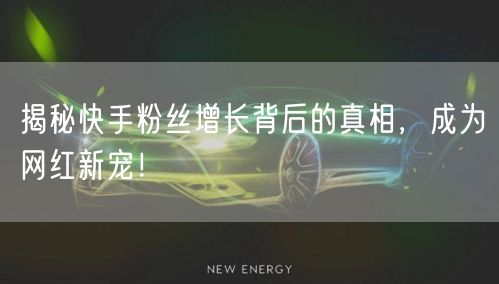 揭秘快手粉丝增长背后的真相，成为网红新宠！