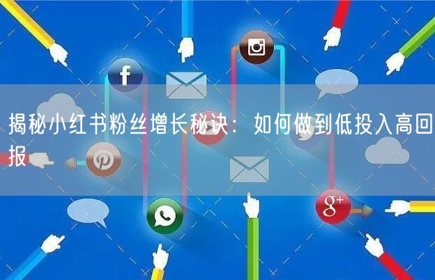 揭秘小红书粉丝增长秘诀:如何做到低投入高回报