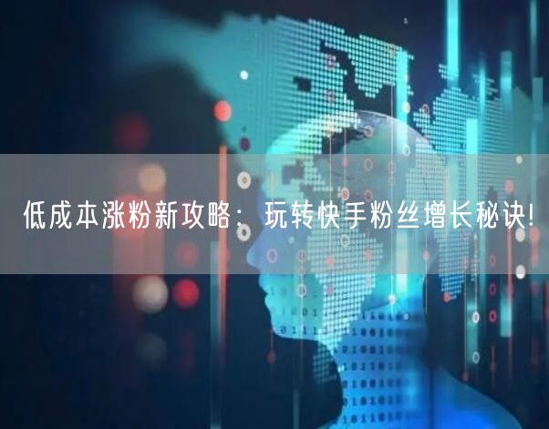 低成本涨粉新攻略：玩转快手粉丝增长秘诀!