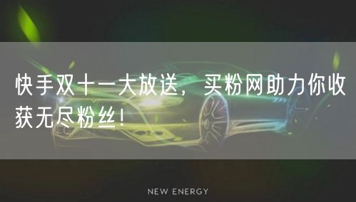 快手双十一大放送，买粉网助力你收获无尽粉丝！