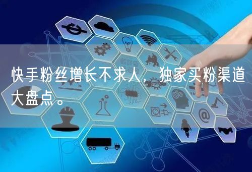 快手粉丝增长不求人,独家买粉渠道大盘点。