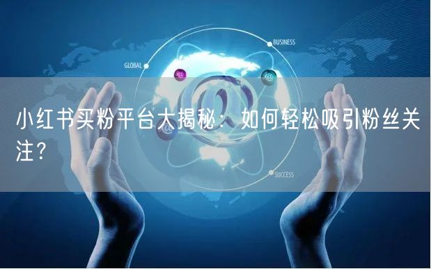 小红书买粉平台大揭秘：如何轻松吸引粉丝关注？