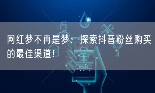 网红梦不再是梦：探索抖音粉丝购买的最佳渠道！